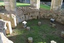 IMG_8042.jpg